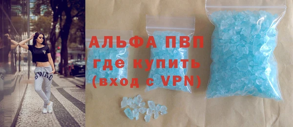 крисы Бородино