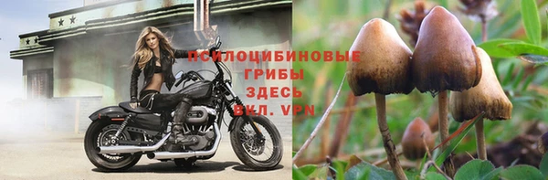 дмт Бугульма