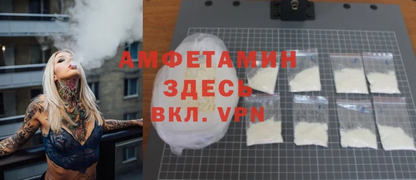 крисы Бородино