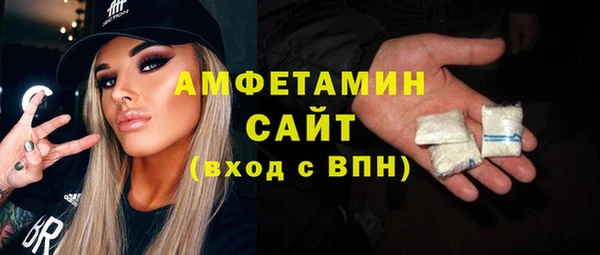 крисы Бородино