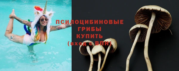 стаф Бронницы