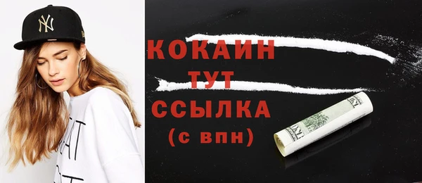 крисы Бородино
