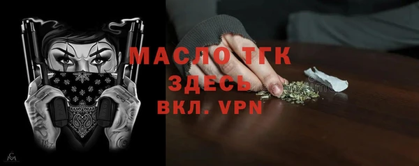 крисы Бородино