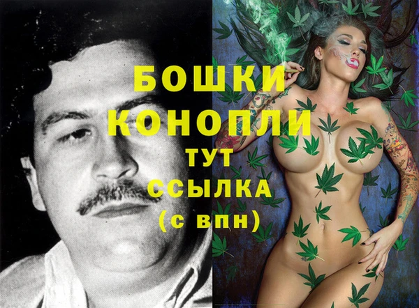 крисы Бородино