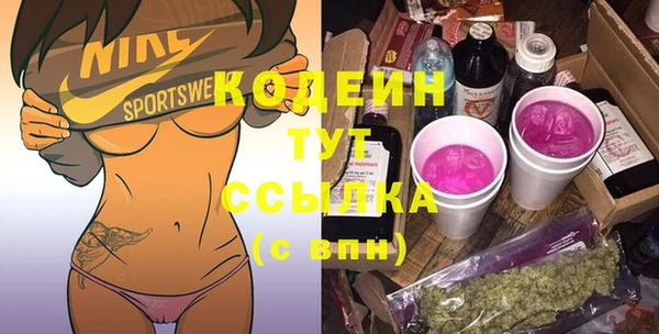 СК Снежногорск
