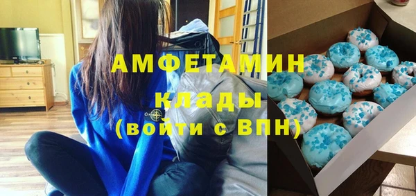 крисы Бородино