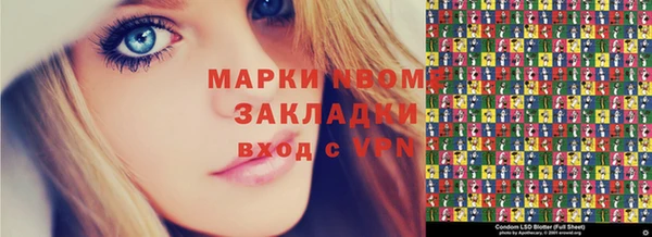крисы Бородино