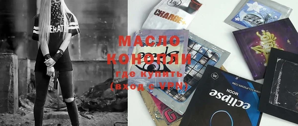 крисы Бородино