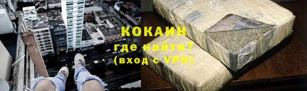 крисы Бородино