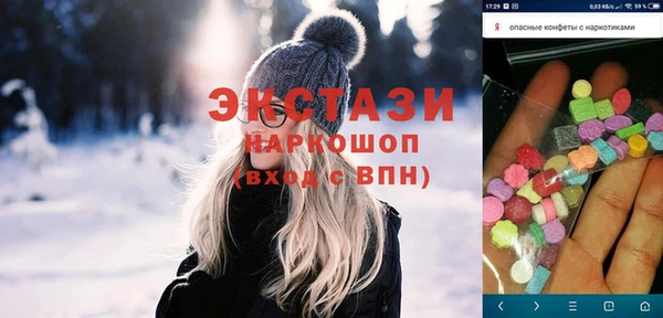 крисы Бородино