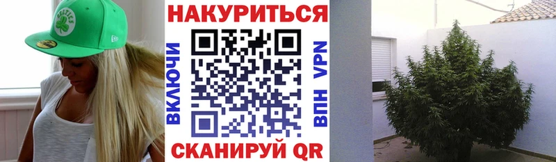 цена   Кинель  Шишки марихуана гибрид 